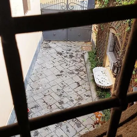 Piazza Del Gesu By Domusextra