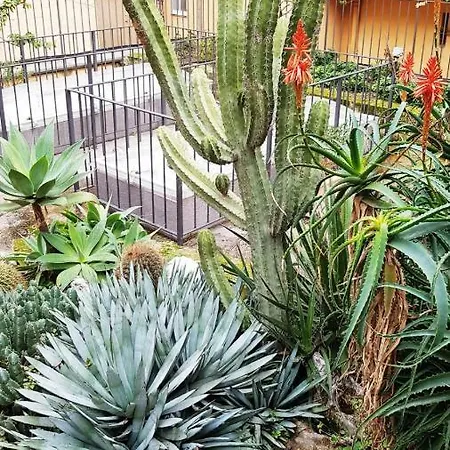 Piazza Del Gesu By Domusextra Διαμέρισμα