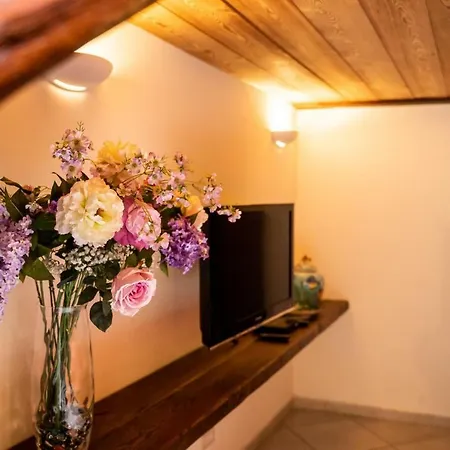 Piazza Del Gesu By Domusextra Διαμέρισμα *